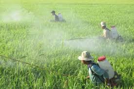Giải pháp chống nấm mốc related image 2